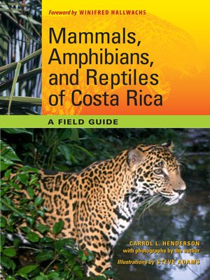 cover image of Mammals, Amphibians, and Reptiles of Costa Rica: a Field Guide